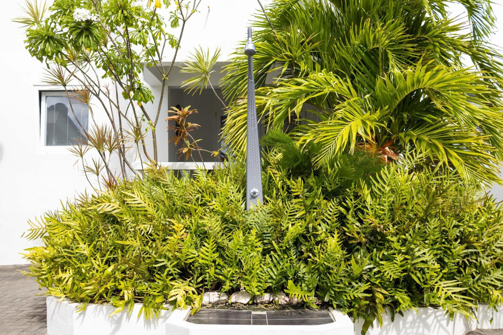 Palm Crest Διαμέρισμα Jan Thiel Εξωτερικό φωτογραφία